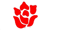 Linrose Electronics